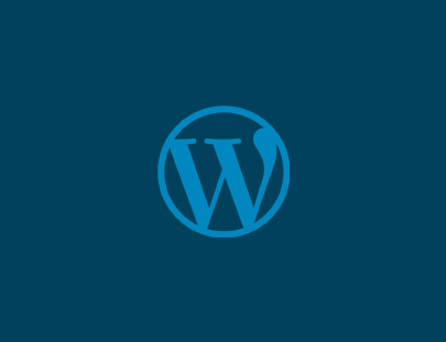 Create custom theme options page in WordPress